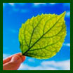 Agro Commodities Trading Company India