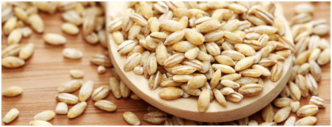 barley